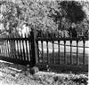 Fo-A19472