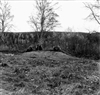 Fo-A19538