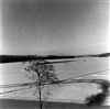 Fo-A19654