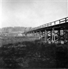 Fo-A5505