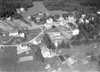 Fo-BFO_447