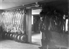 Fo-CG269