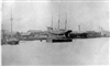 Fo-CG375