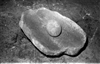 Fo-S12_2