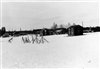 Fo-S1954_10