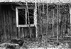 Fo-S1970_32