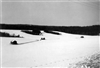 Fo-S2037_3