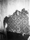 Fo-S255_8