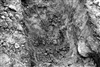 Fo-S525_13