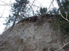 Fo-SANGA_PARA_2007_9