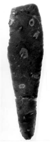 Fo-U6300