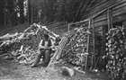 VEDBOD MAN