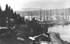 SEGELFARTYG HAMN