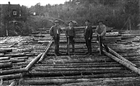 GRUPPORTRÄTT TIMMERTRAVE