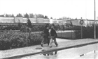 SKOLA