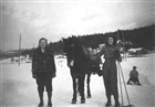 SULKY HÄST KUSK KVINNA