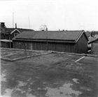 UTHUS