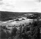 SKOG ÄLV