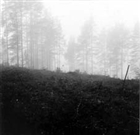 ARKEOLOGI ARKEOLOGISK UNDERSÖKNING FÅNGSTGROP