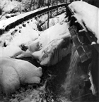 BRUKSDAMM VINTERBILD