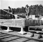 MAN SÅGVERK INDUSTRIOMRÅDE