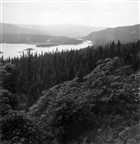 FJÄLLVÄRLD SKOG ÄLV