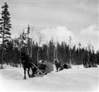 MAN HÄST HÄSTTRANSPORT HÖBAL VINTERBILD