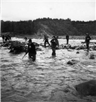 BÅT FLOTTARE FLOTTNING MAN ÄLV