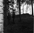 ARKEOLOGI GRAVANLÄGGNING GRAVFÄLT GRAVHÖG