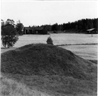 GRAVANLÄGGNING JORDBRUKSBEBYGGELSE ARKEOLOGI GRAVFÄLT GRAVHÖG