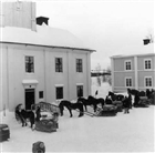 FRILUFTSMUSEUM VINTERBILD SKÅDESPELARE FILMINSPELNING FRILUFTSMUSEUM HÄST