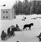 FRILUFTSMUSEUM VINTERBILD FILMINSPELNING SKÅDESPELARE FRILUFTSMUSEUM HÄST