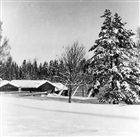 BONDGÅRD FRILUFTSMUSEUM VINTERBILD FRILUFTSMUSEUM