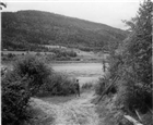 SKOG ÄLV