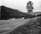 SKOG ÅKERMARK