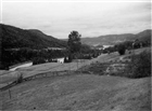 SKOG ÅKERMARK
