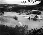 ÄLV LANDSVÄGSBRO SKOG