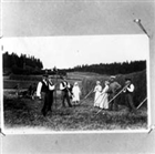 HÖHÄSSJA GRUPPBILD SKÖRDEARBETE