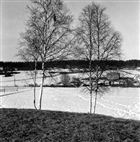 ARKEOLOGI VINTERBILD GRAVANLÄGGNING