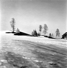 ARKEOLOGI GRAVHÖG VINTERBILD GRAVANLÄGGNING