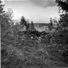 SKOG