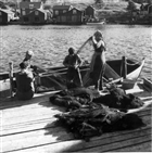 FISKE KVINNA MAN