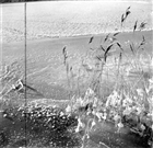VINTERBILD