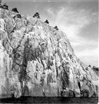 HÖGA KUSTEN BERG