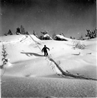 VINTERBILD FJÄLLVÄRLD SKIDÅKNING