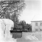 FRILUFTSMUSEUM BOSTADSHUS VINTERBILD HERRGÅRD