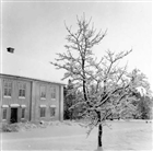 HERRGÅRD FRILUFTSMUSEUM VINTERBILD BOSTADSHUS