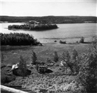 FRILUFTSMUSEUM BONDGÅRD UTHUS ÄNGSMARK