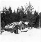 VINTERBILD FRILUFTSMUSEUM HÄRBRE SKOGSLAPPBY