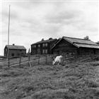 BONDGÅRD FRILUFTSMUSEUM JORDBRUKSBEBYGGELSE GÄRDESGÅRD JORDBRUKSBEBYGGELSE KO